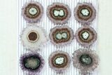 Lot: / to Amethyst Stalactite Slices ( Pieces) #77711-1